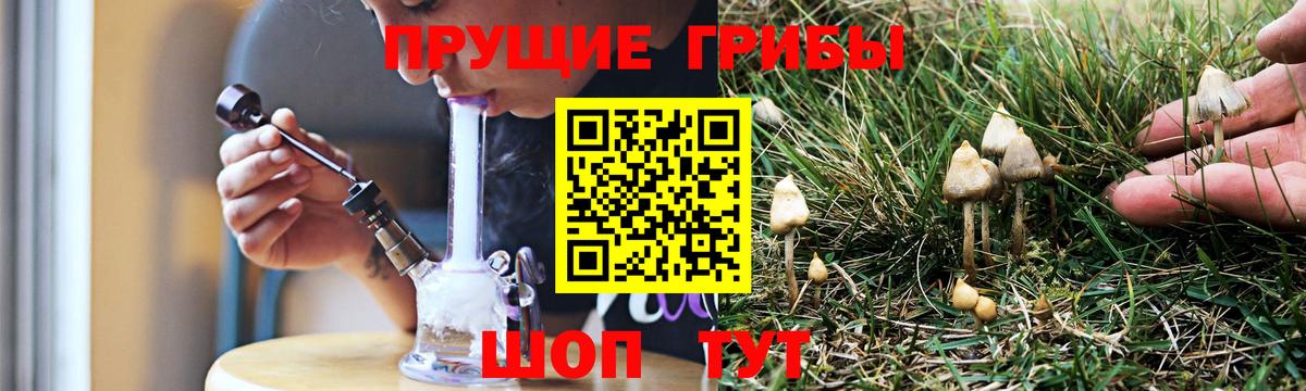 Псилоцибиновые грибы мицелий Северск